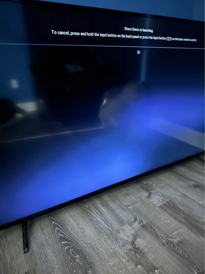 Vizio TV 70” *LED issue* - photo 4