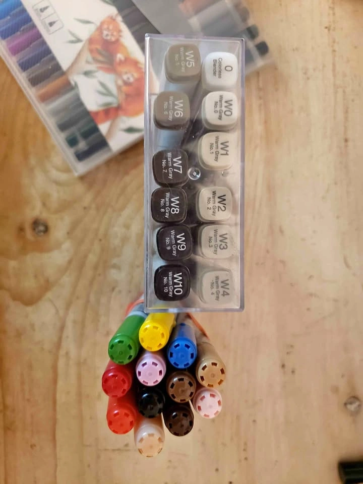 Copic Markers Bundle