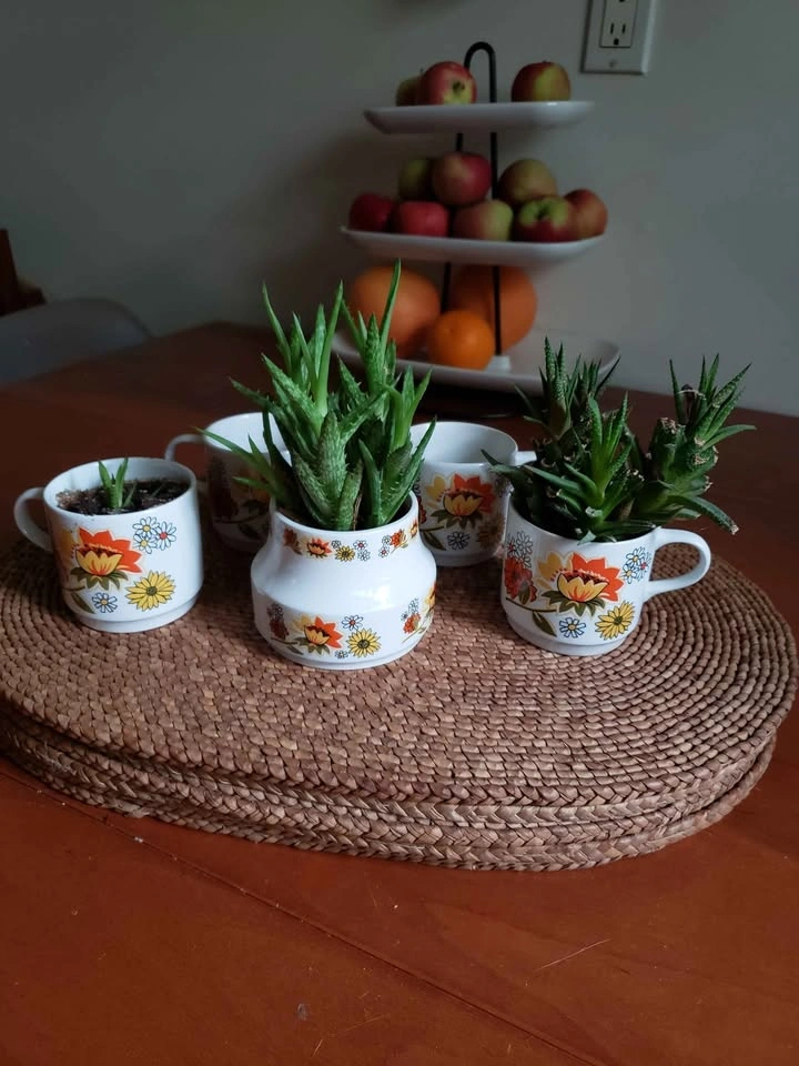 Vintage 1970s Coffee Cups and Sugar Bowl - photo 4