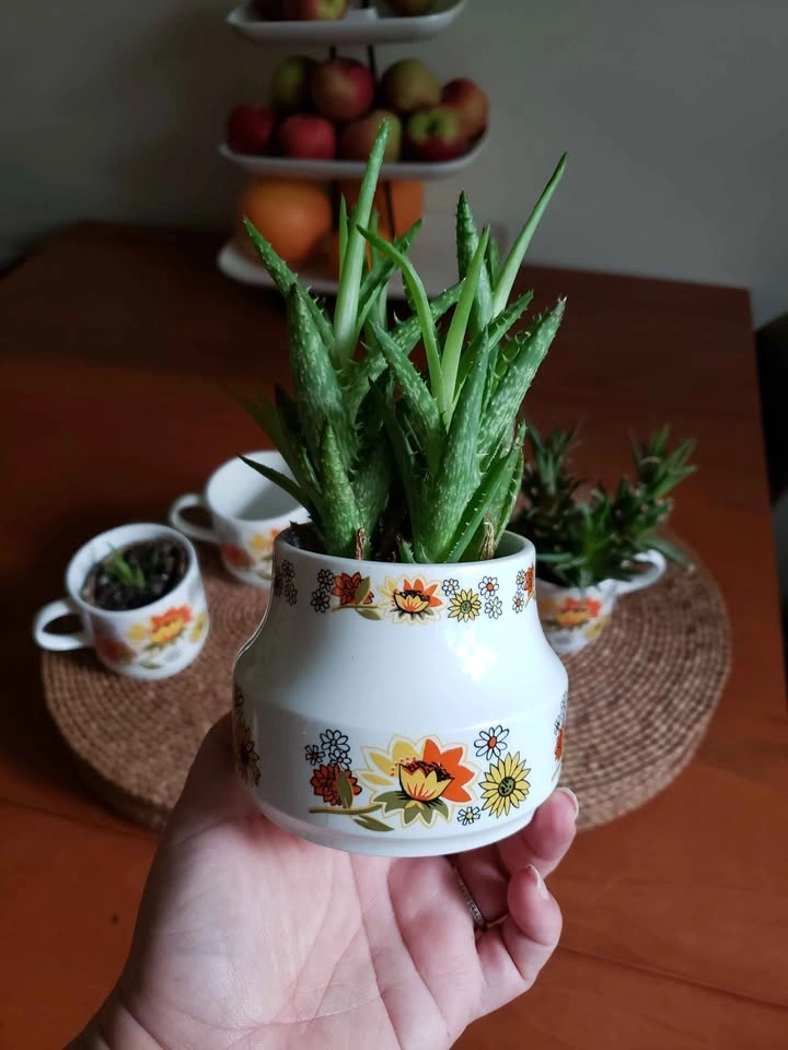 Vintage 1970s Coffee Cups and Sugar Bowl - photo 5