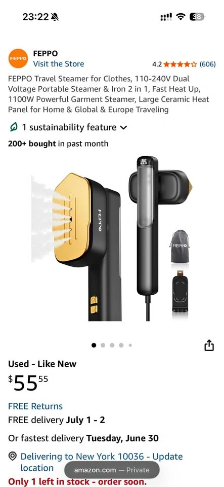 FEPPO Travel Steamer for Clothes