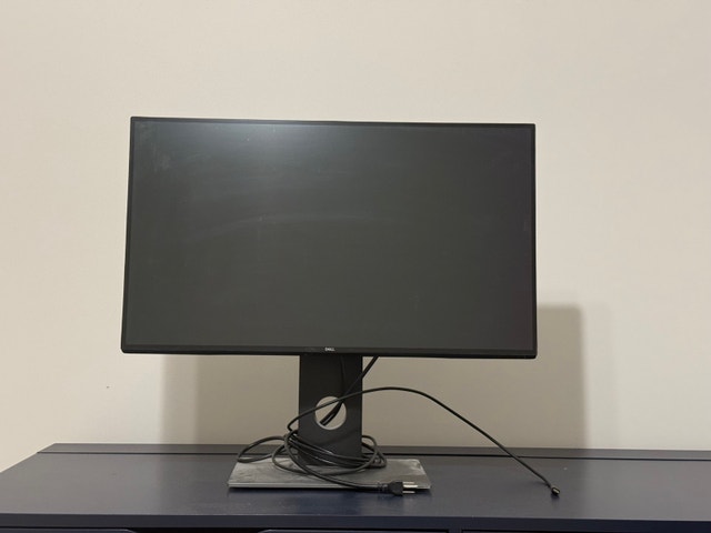 Dell Monitor