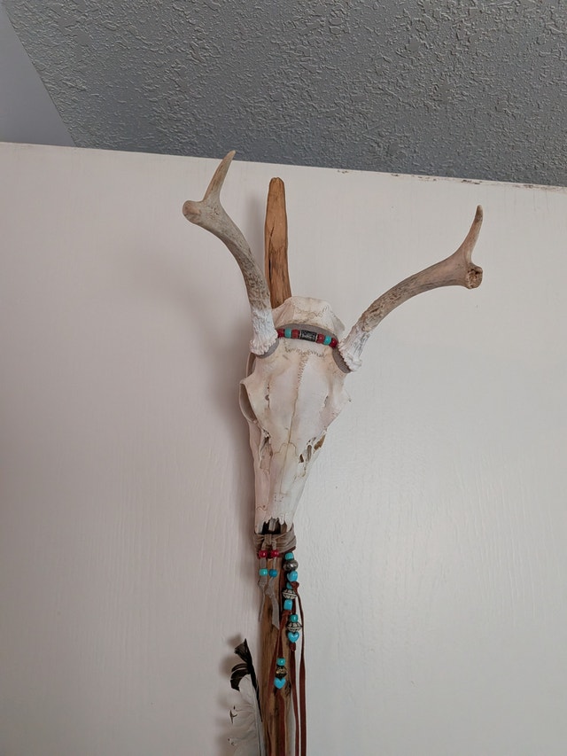 Handcrafted Deer Skull Walking Stick