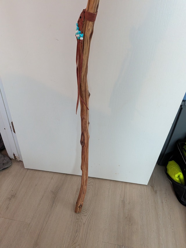 Handcrafted Deer Skull Walking Stick - photo 3