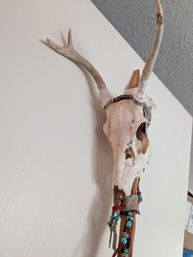 Handcrafted Deer Skull Walking Stick - photo 4
