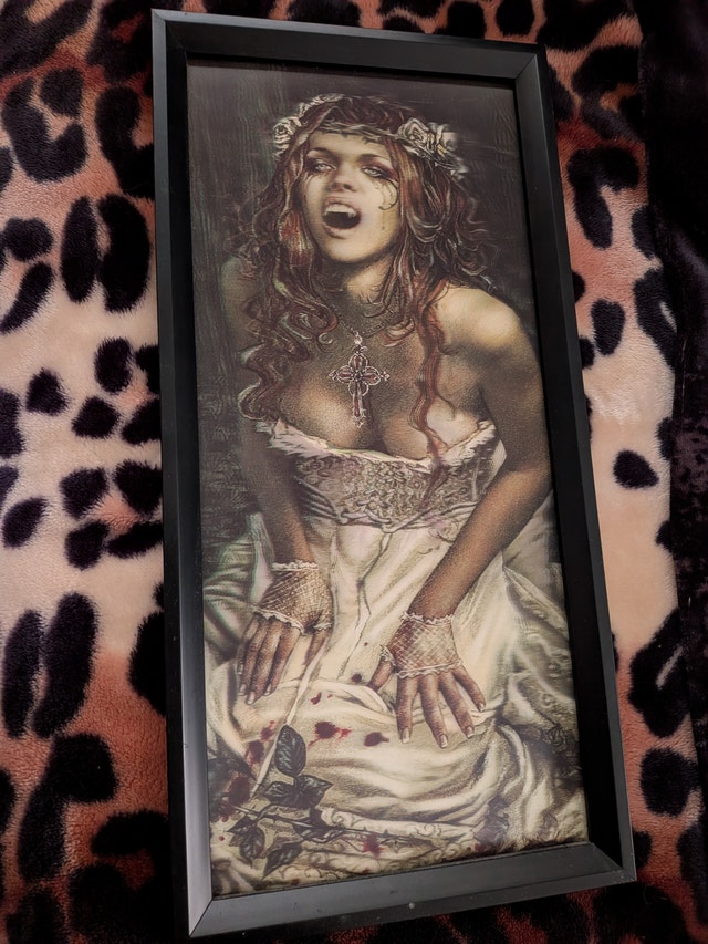 3-D Gothic Vampire Bride Framed Wall Art