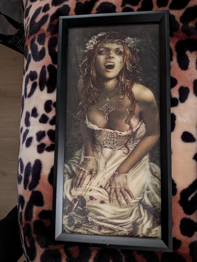 3-D Gothic Vampire Bride Framed Wall Art - photo 2
