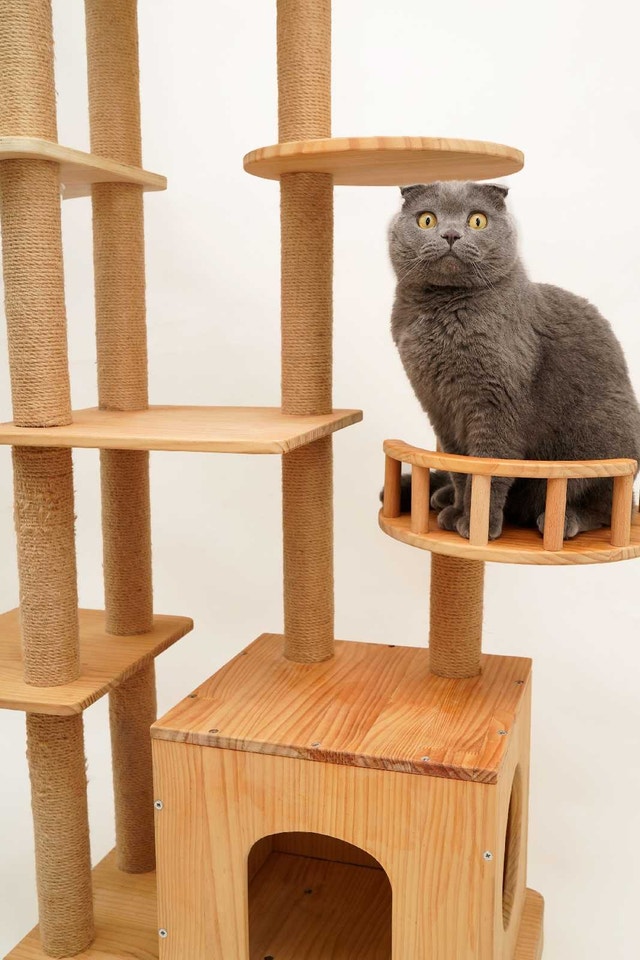 Solid Wood Cat Tree 180cm x 106cm - photo 3