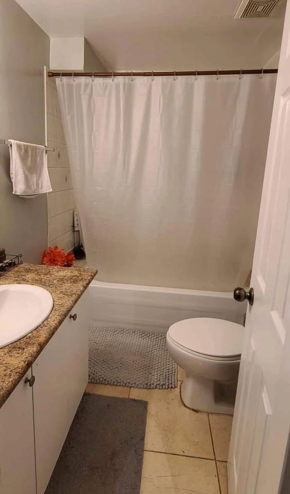 1 Bed 1 Bath - Apartment - photo 3