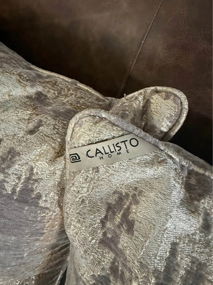 2 Callisto Home Throw Pillows - photo 3