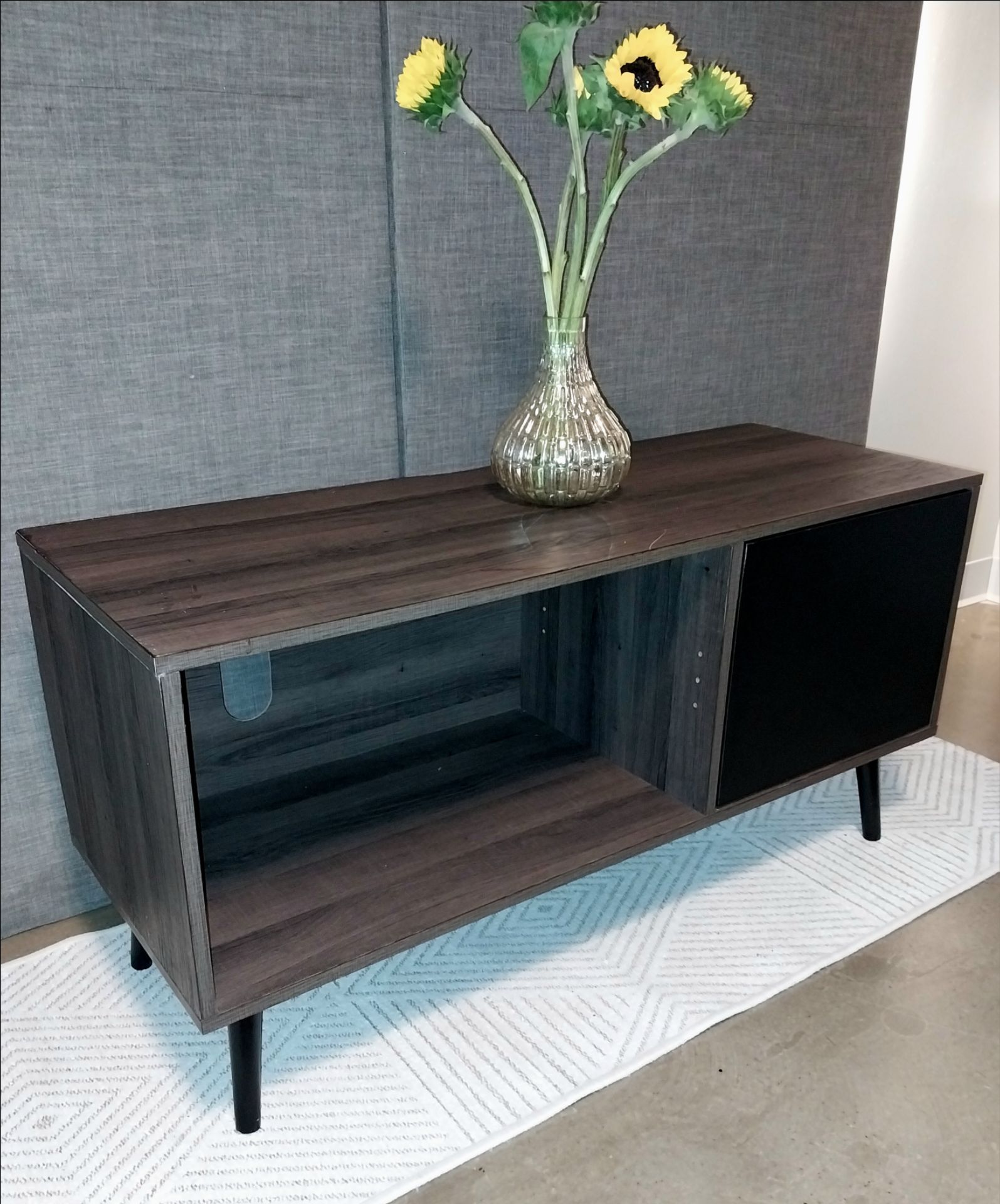 Modern TV Stand / Media Console