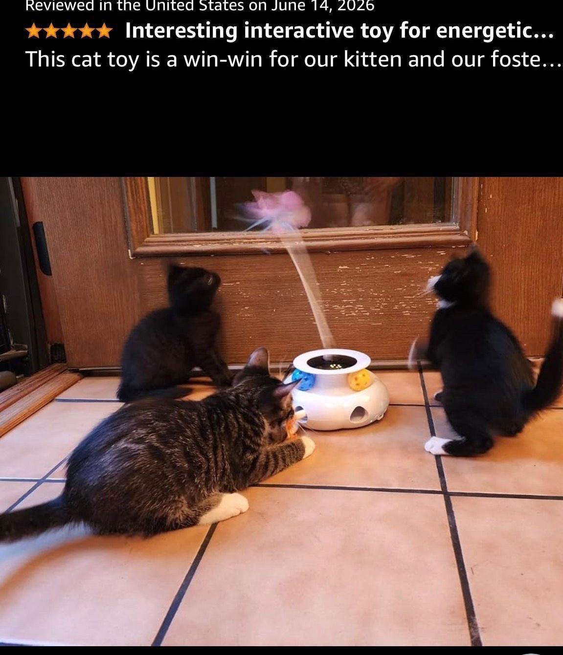 3-in-1 Interactive Cat Toy with Remote Control - photo 2