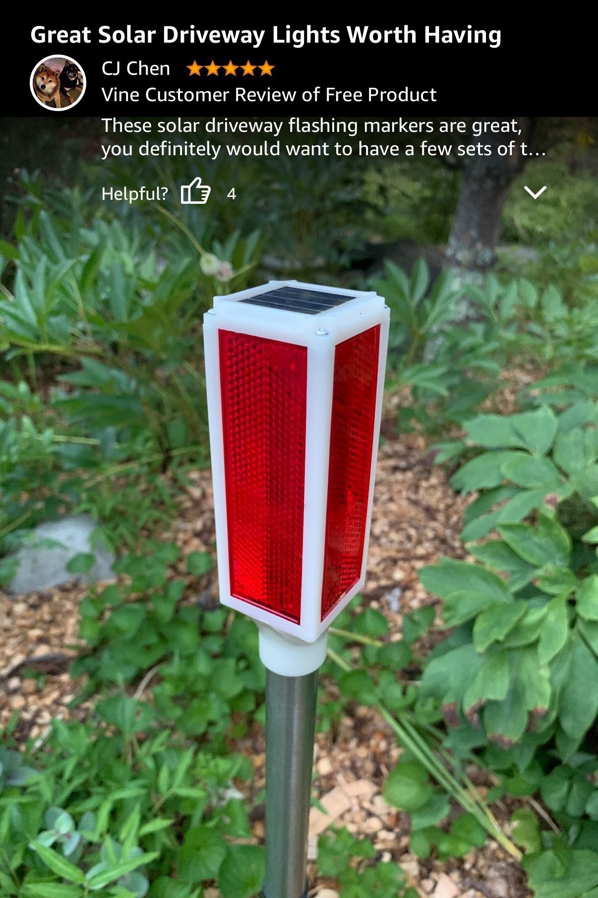 Solar Driveway Marker Lights for Night Landscaping