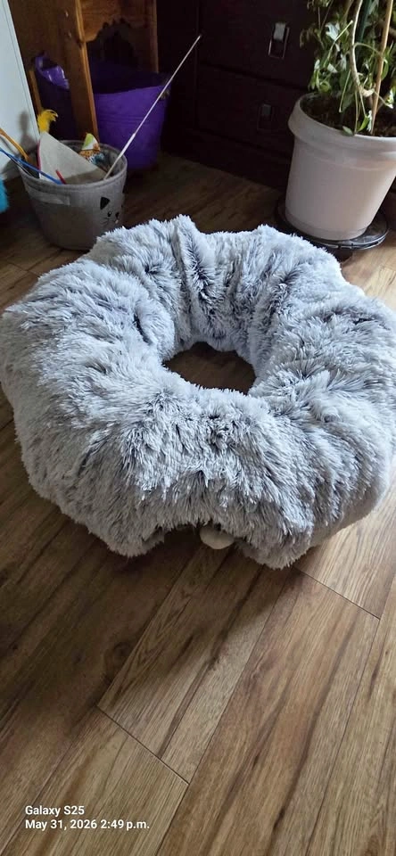 Modular Cat Tunnel Bed