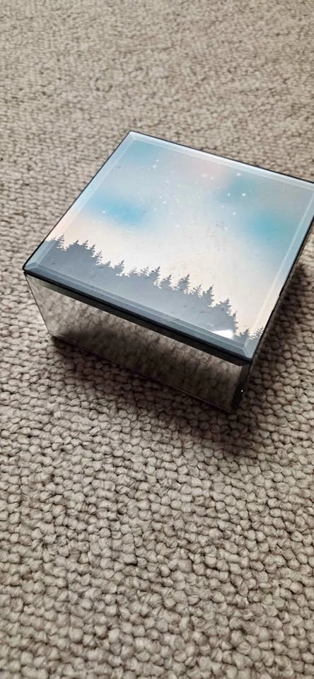 Mirrored Box Forest Sky Design