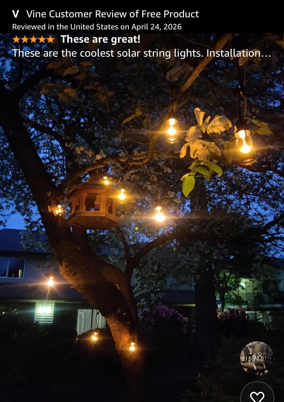 Flame Outdoor String Lights, 21FT Patio Lights - photo 2