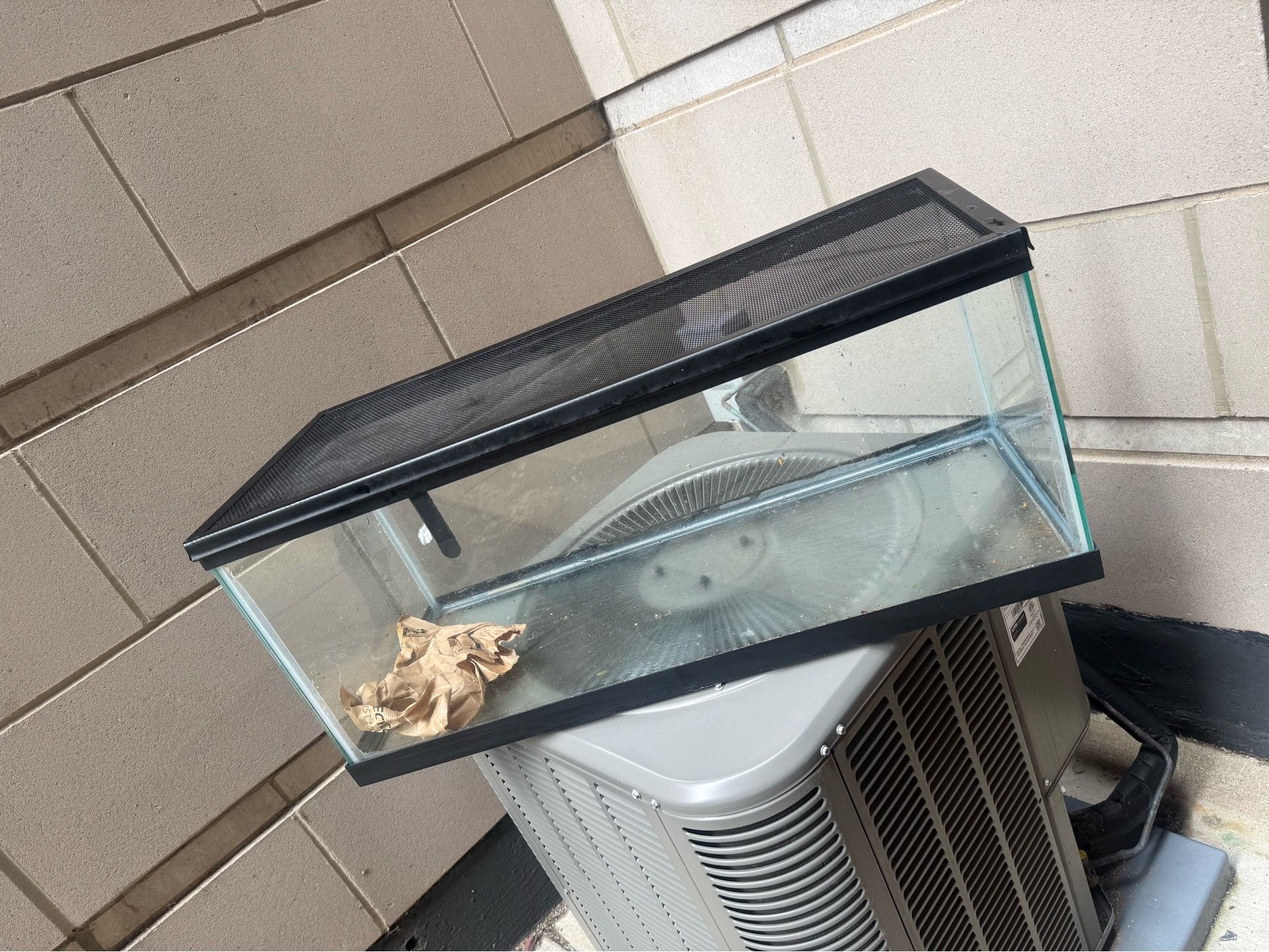 20 Gallon Long Aquarium / Reptile / Turtle Tank