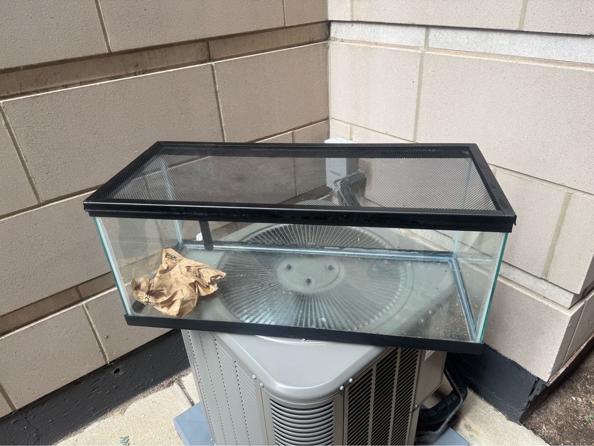 20 Gallon Long Aquarium / Reptile / Turtle Tank - photo 4