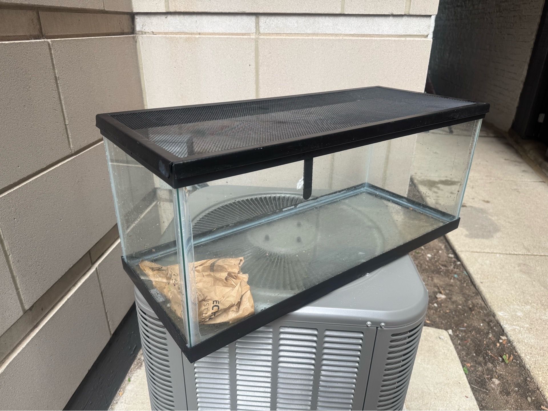 20 Gallon Long Aquarium / Reptile / Turtle Tank - photo 5