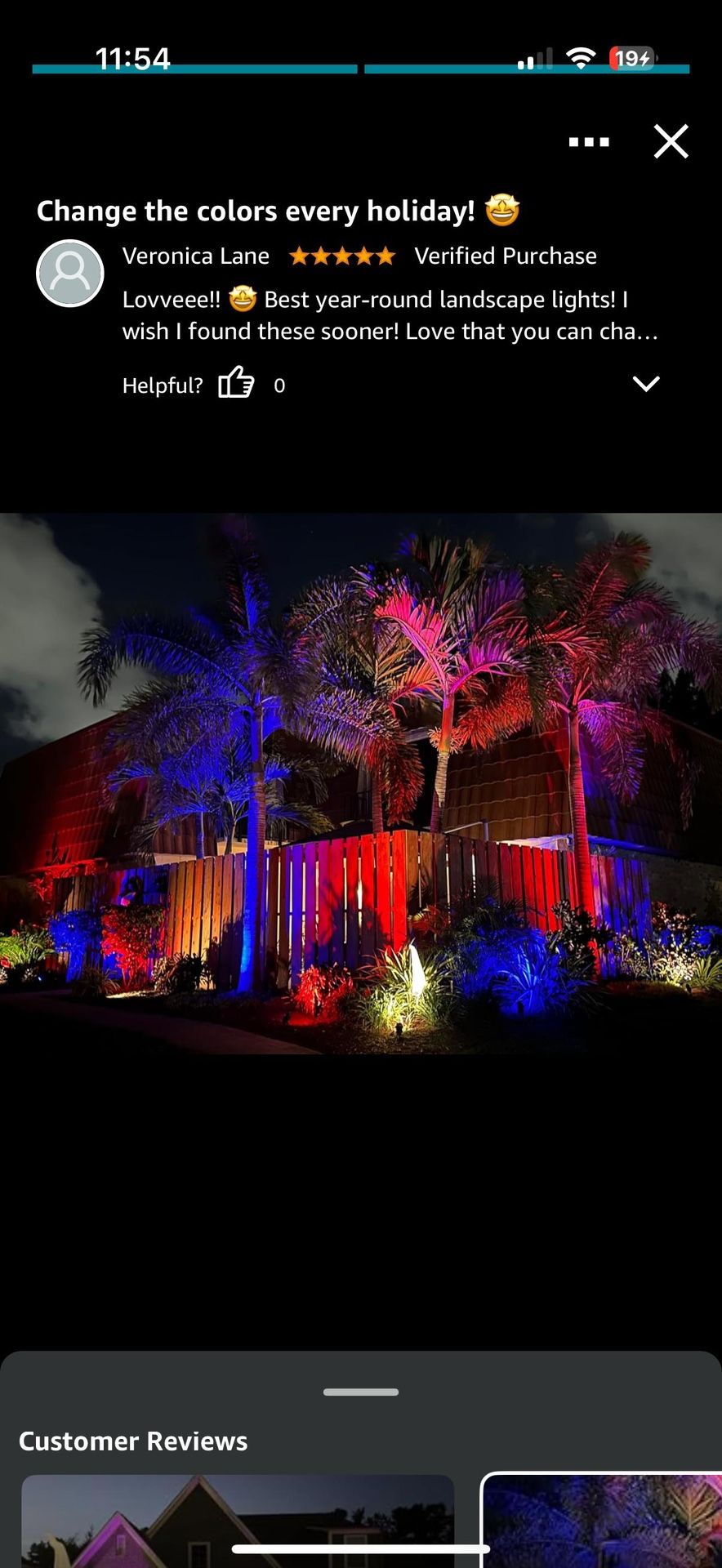 Halloween Christmas Outdoor Color Changing LED Spotlight - photo 2