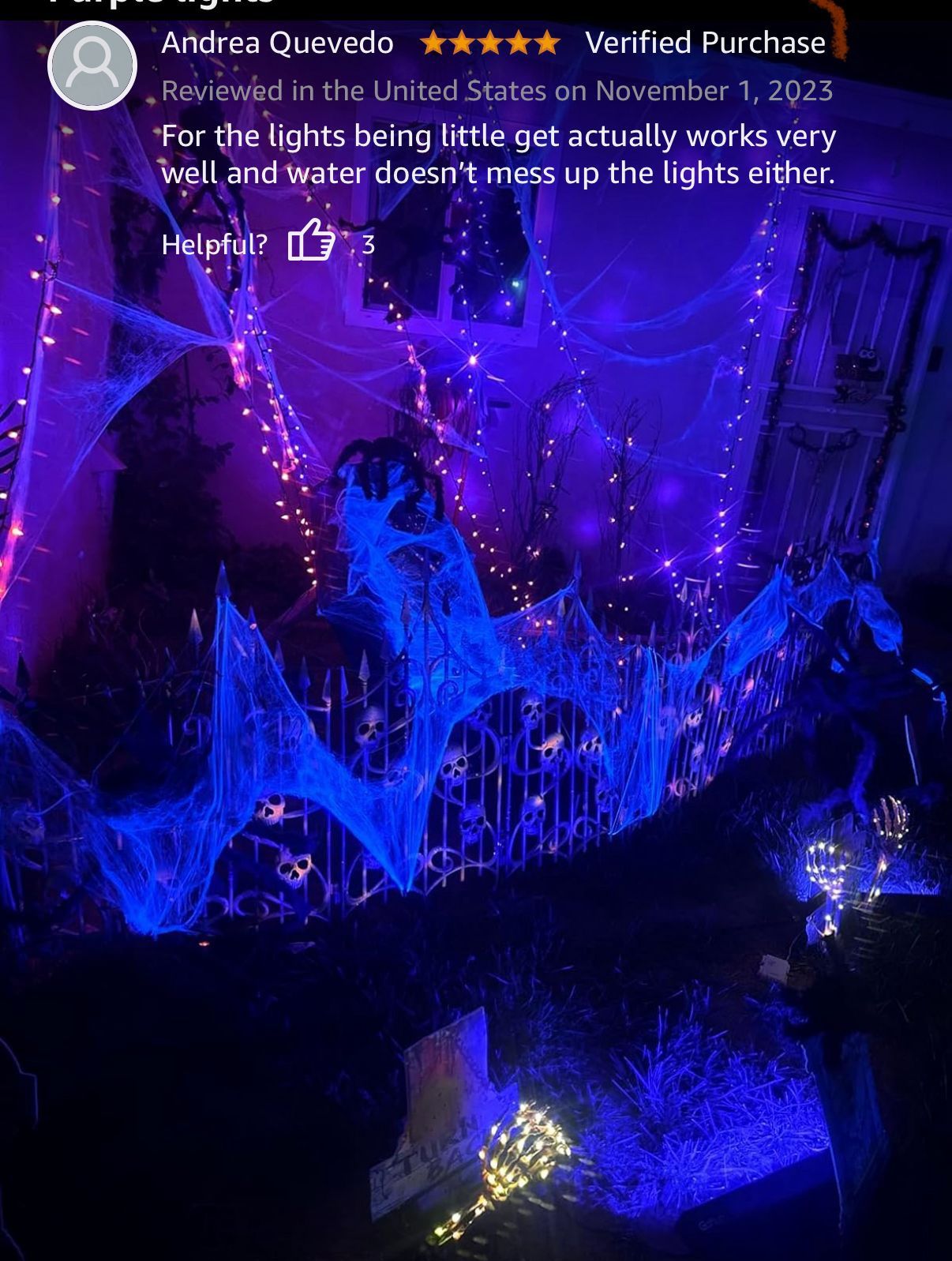 Halloween LED Outdoor Waterproof Spotlight - photo 5