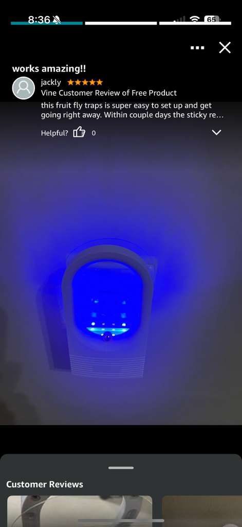 2PCS Fruit Fly Traps for Indoors - UV Light