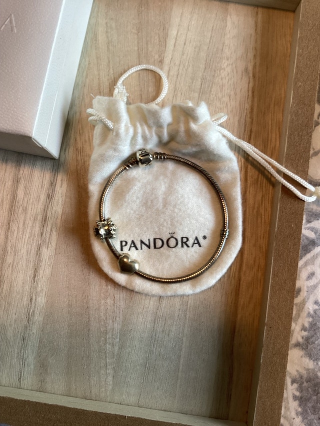 Pandora Bracelet and Charm