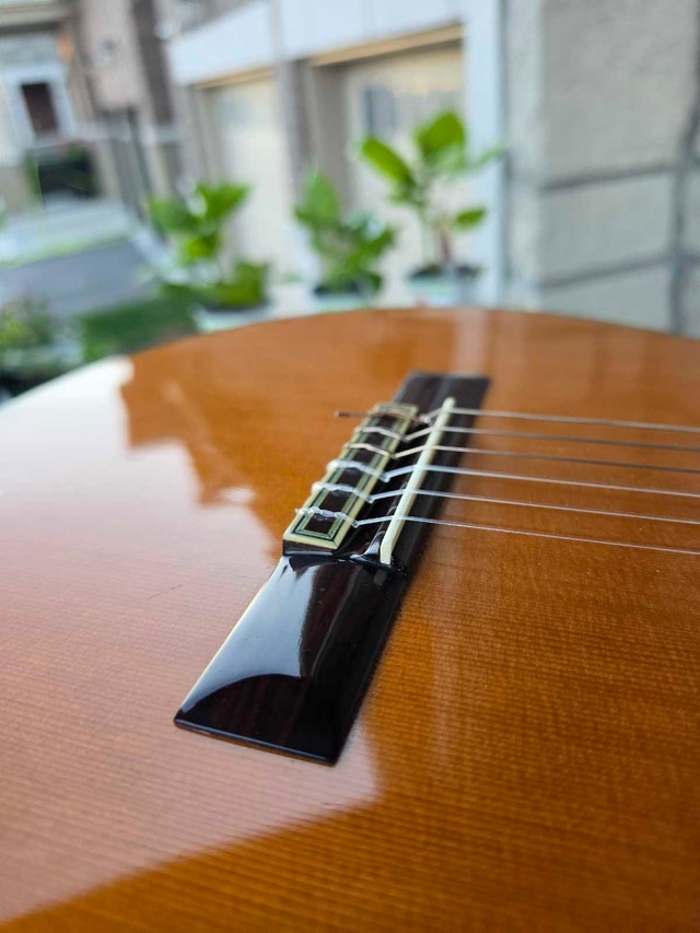 Savage Classical Guitar SCG-05 Cedar - photo 2