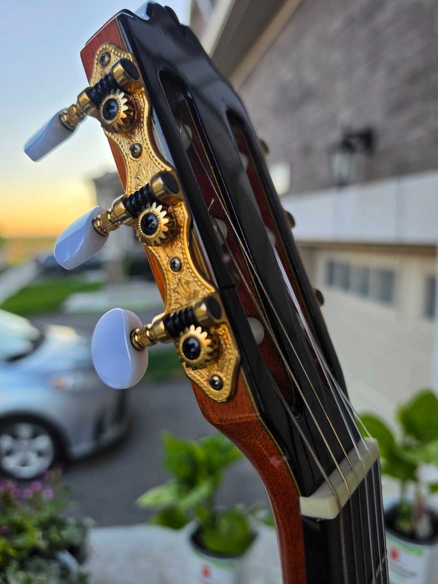 Savage Classical Guitar SCG-05 Cedar - photo 3