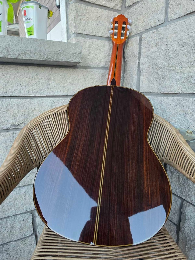 Savage Classical Guitar SCG-05 Cedar - photo 4