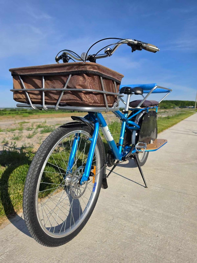 Family Cargo Bike – Carry 2 Kids – School Runs, Beach & Weekend - photo 4