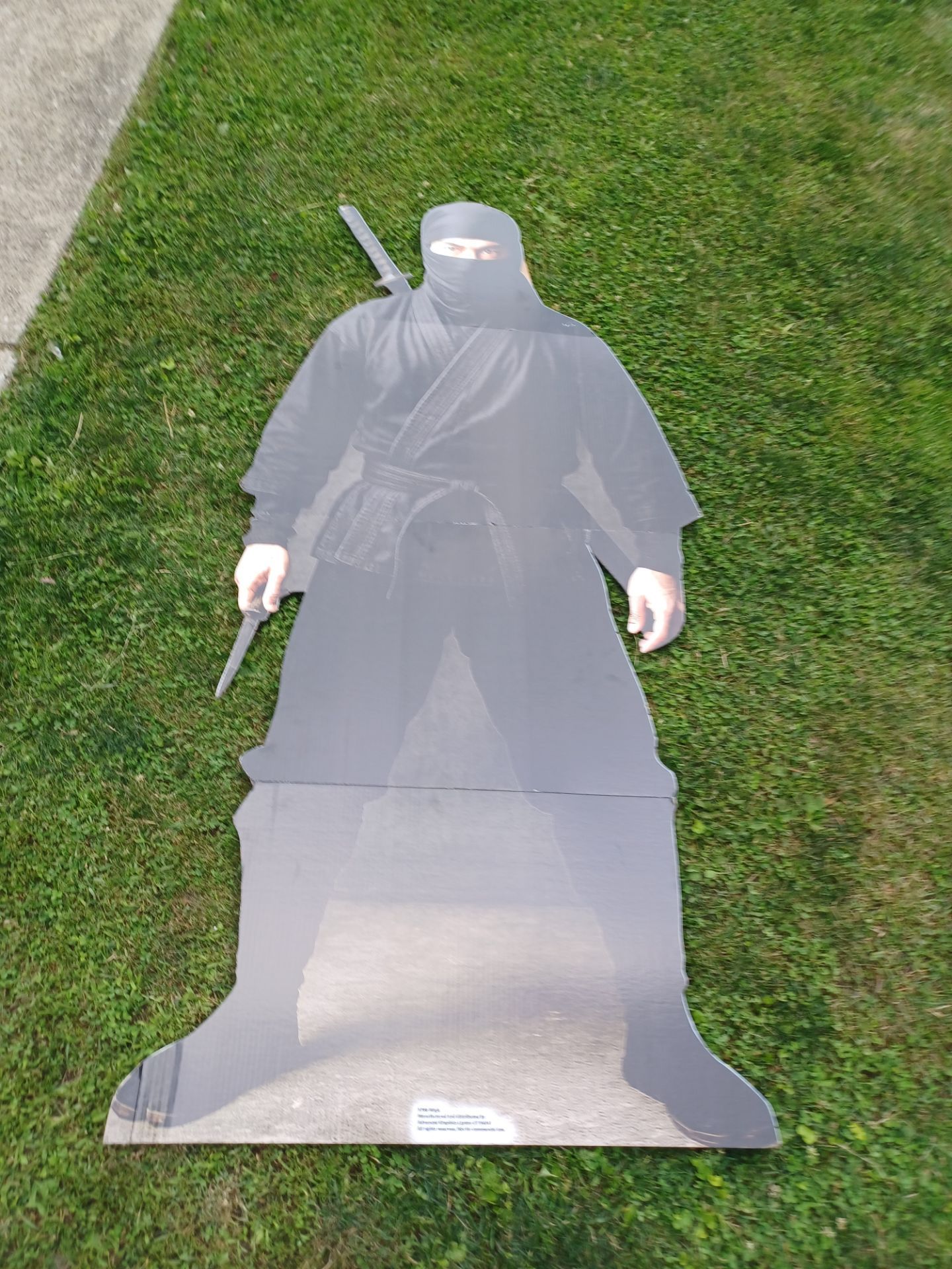 6 ft ninja cardboard cut out with built in stand