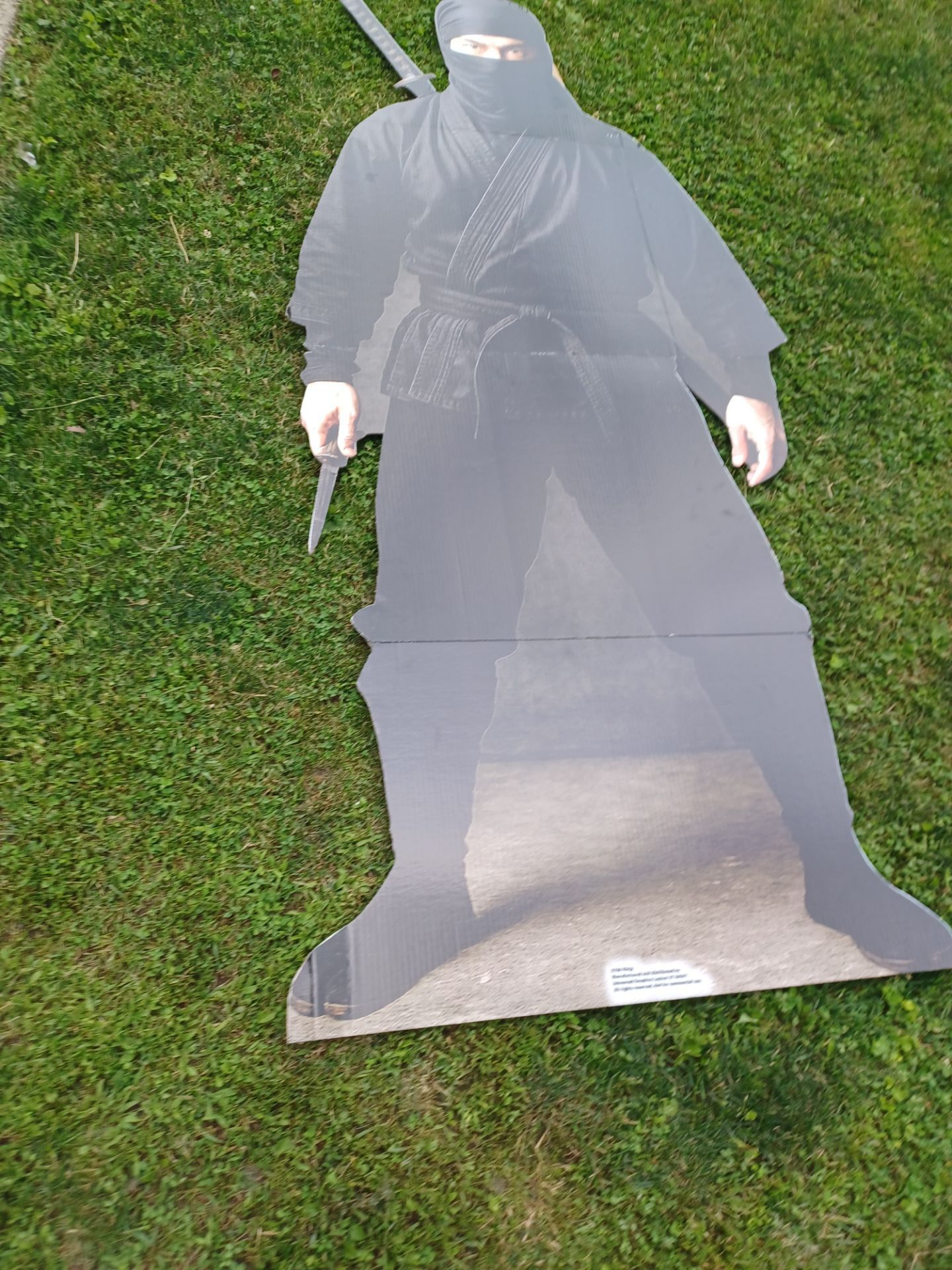 6 ft ninja cardboard cut out with built in stand - photo 2
