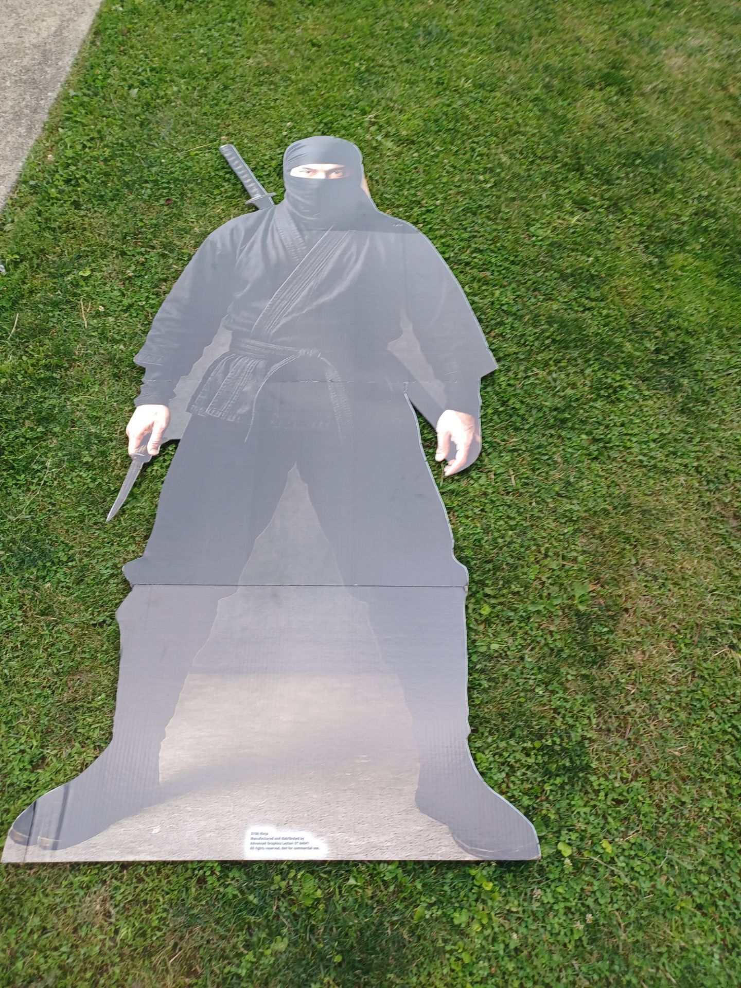 6 ft ninja cardboard cut out with built in stand - photo 4