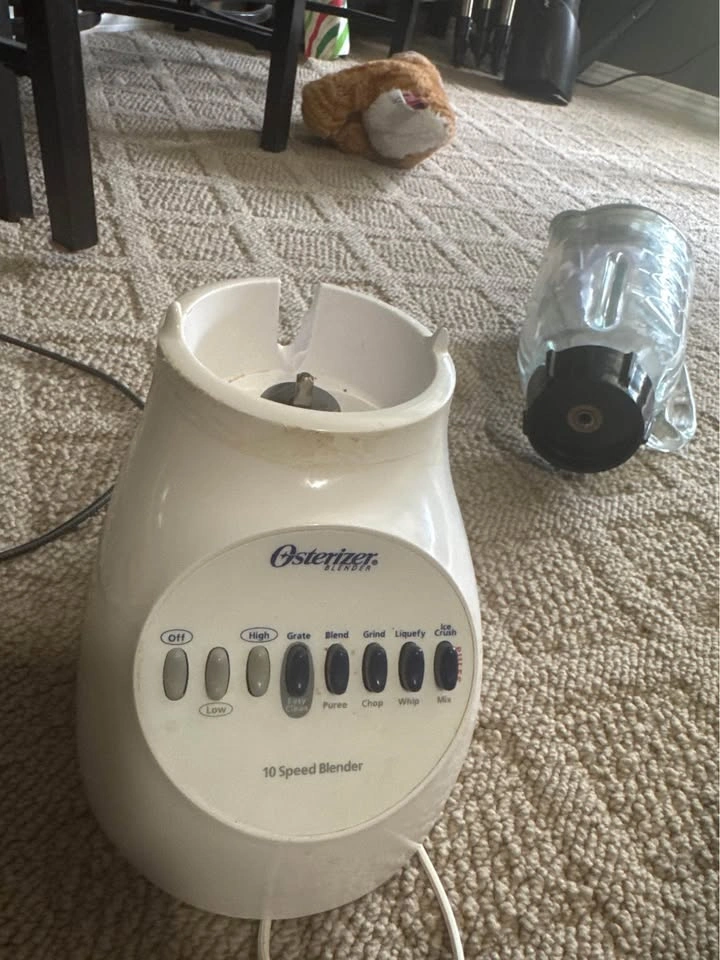FREE: Osterizer 10-Speed Blender (Glass Pitcher) - photo 3