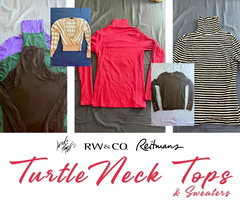 Turtleneck & Sweater Bundle — RW&Co, Lord & Taylor, Reitmans