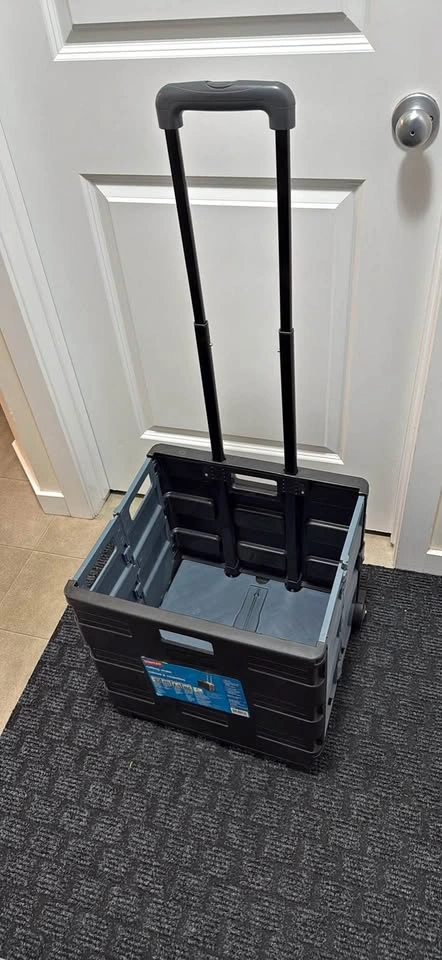 Staples Rolling Crate