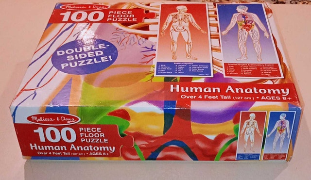 Human Anatomy Floor Puzzle