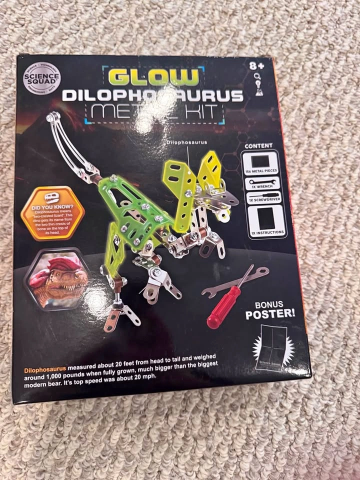 Dinosaur Metal Toy Kit