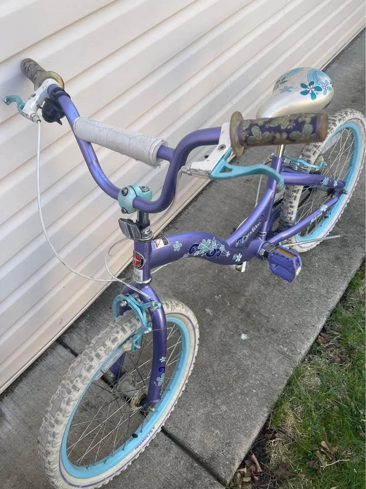 Girls bike Frozen theme!