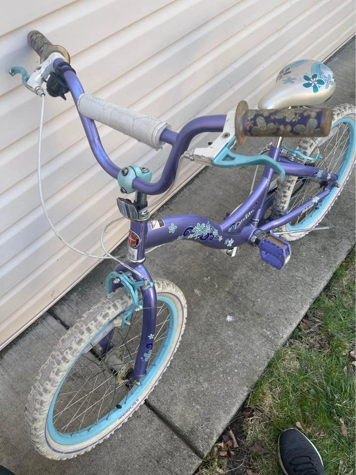 Girls bike Frozen theme! - photo 2