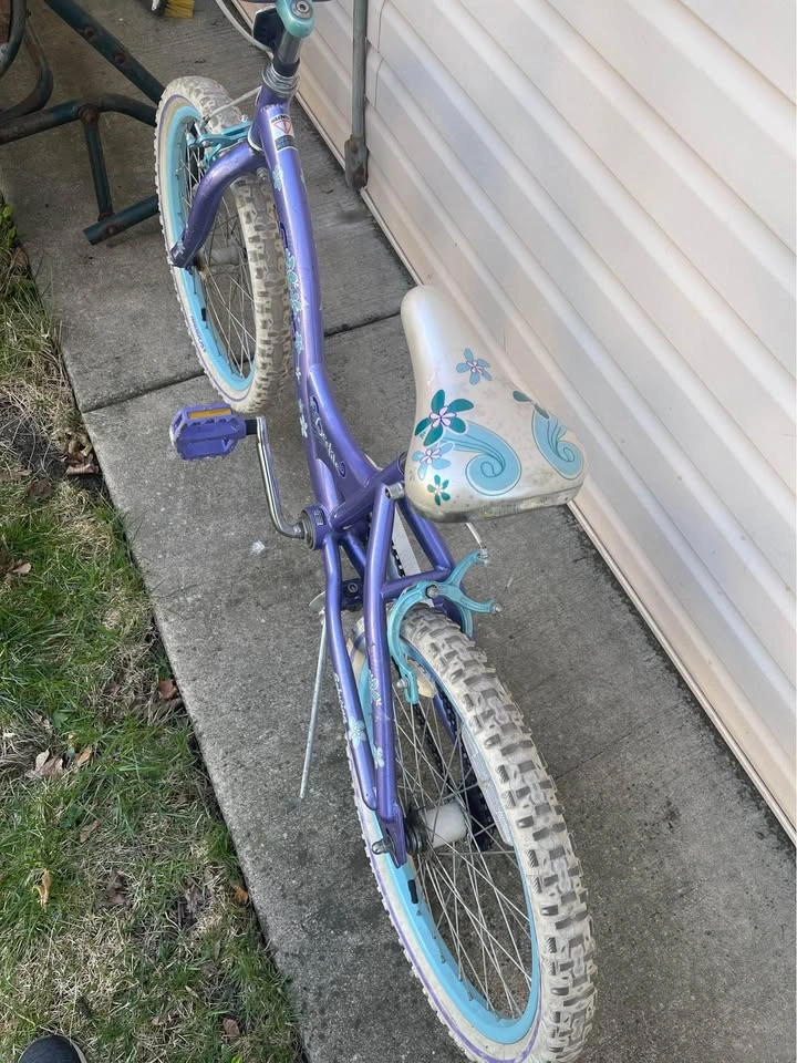 Girls bike Frozen theme! - photo 3