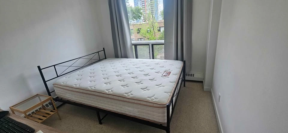 Black Metal Queen Bed Frame with mattress