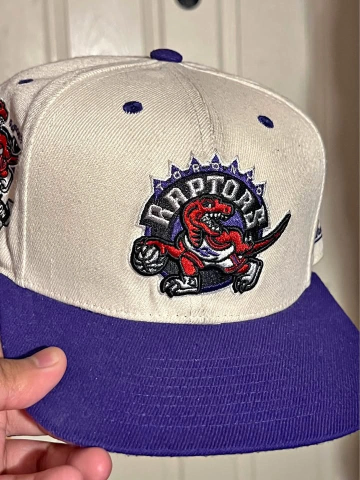Toronto Raptors Mitchell & Ness Fitted Hat
