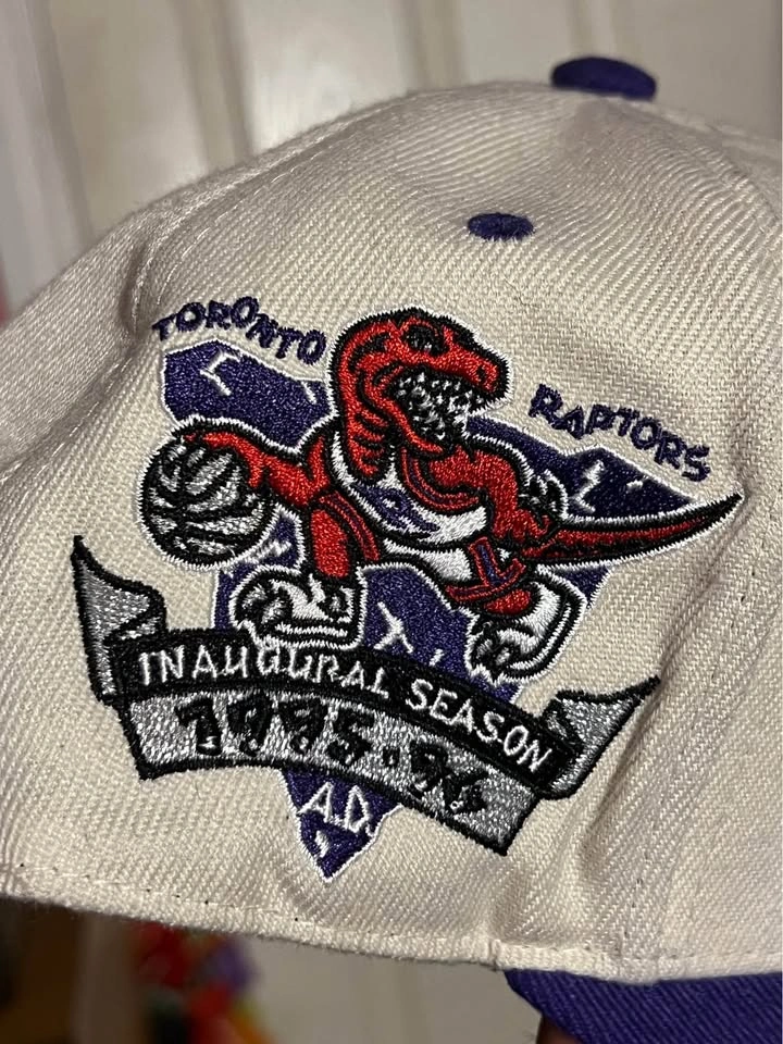 Toronto Raptors Mitchell & Ness Fitted Hat - photo 2
