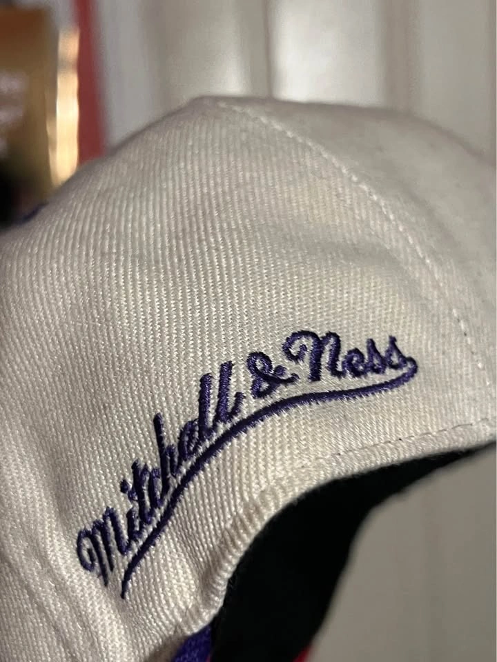 Toronto Raptors Mitchell & Ness Fitted Hat - photo 3