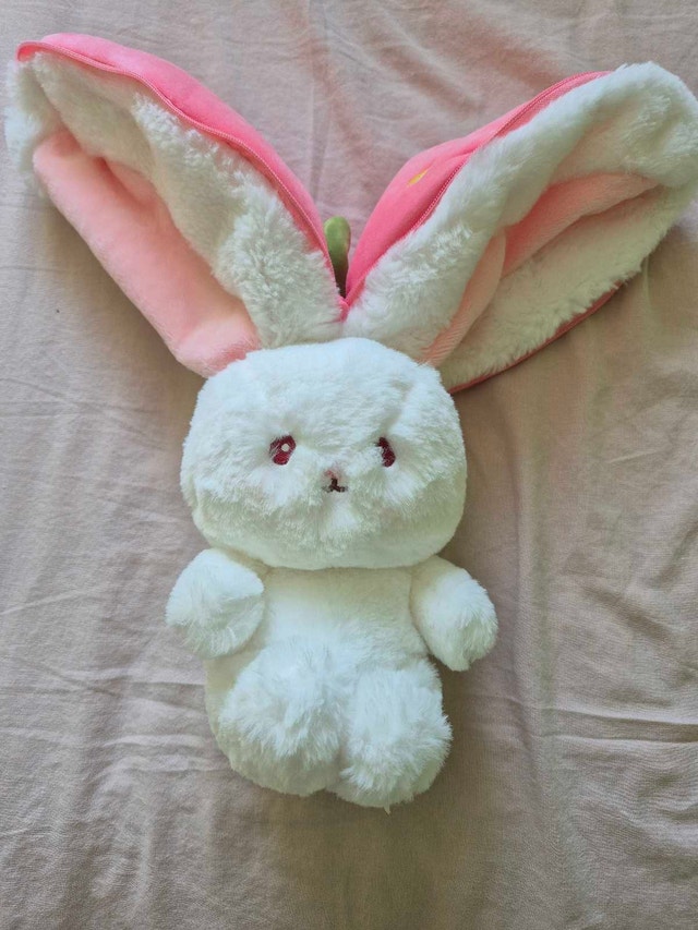 Reversible Pink Strawberry Bunny Plush Toy