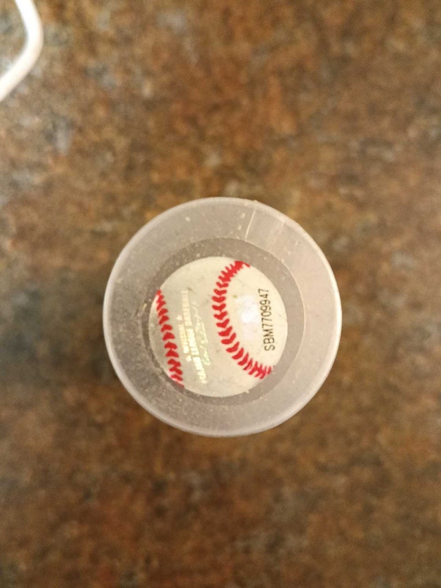 2018 World Series Rings - photo 3