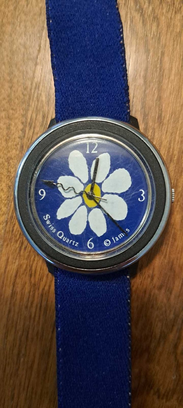 James Swiss Quartz Collector's Watch