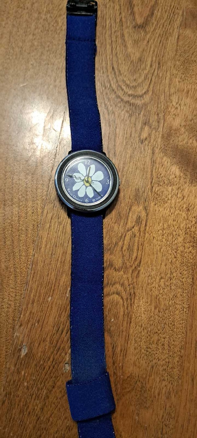 James Swiss Quartz Collector's Watch - photo 2